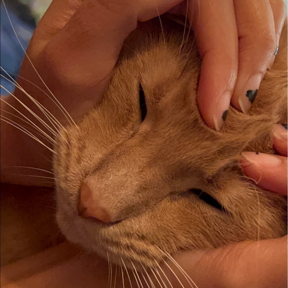 Meet your Posher, Meg